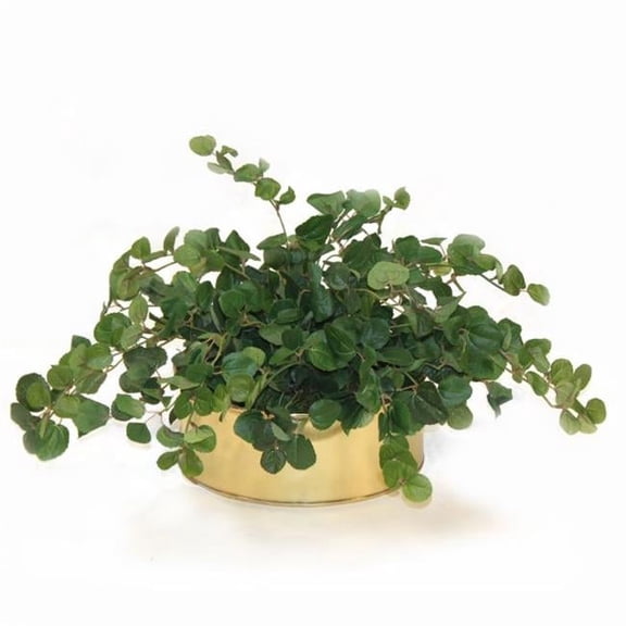 Unisex Greenery Assortment in Bronze Container - Green - Set of 3