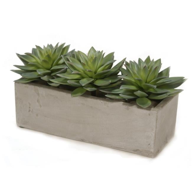 Unisex Hen & Chicken in Concrete Window Box - Green