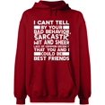 thumbnail image 1 of Unisex Hoodie Sweatshirt, Bad Behavior Sarcastic, Slim Fit, Long Sleeve Sweater - Antiquee Cherry Small, 1 of 2