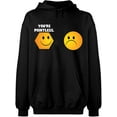 thumbnail image 1 of Unisex Hoodie Sweatshirt, You're Pointless, Custom Sweater, Slim Fit, Long Sleeve Sweater - Black 3X-Large, 1 of 2