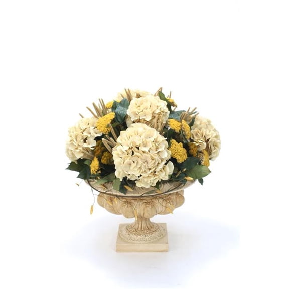 Unisex Hydrangeas in Beige Compote - Green