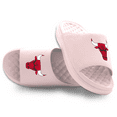 thumbnail image 1 of Unisex ISlide Pink Chicago Bulls Primary Motive Slide Sandals, 1 of 5
