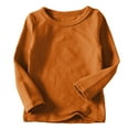 thumbnail image 1 of Unisex Kids Cotton Long Sleeve T-Shirt Tops Tees, Girls' Basic Long Sleeve Round Neck Cotton T-Shirt, Toddler Soft Crewneck Tee Tops Girls Comfort Blouse Brown 1Y, 1 of 5