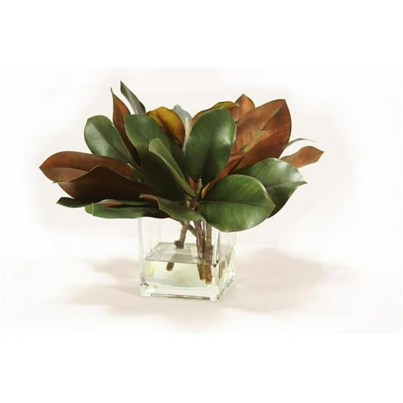 Unisex Magnolia Foliage in Glass - Green