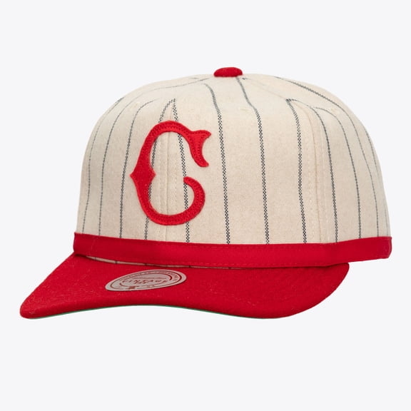 Unisex Mitchell & Ness Cream Cincinnati Reds Vintage Ground Melton Wool Pinstripe Adjustable Hat