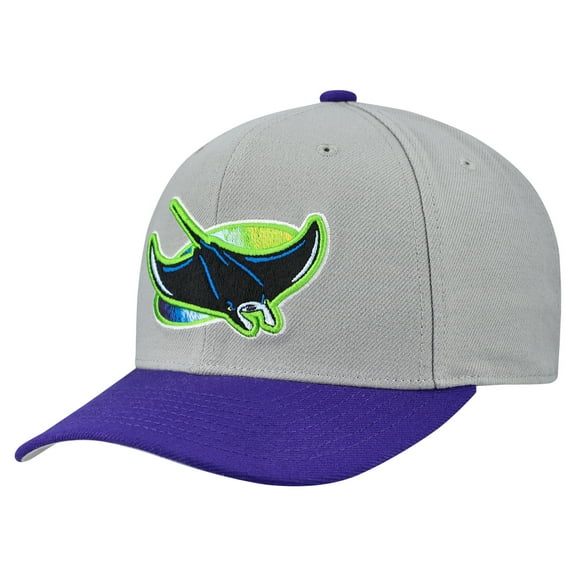 Unisex-Mitchell & Ness  Gray Tampa Bay Rays Basic Coop Pro Adjustable Hat