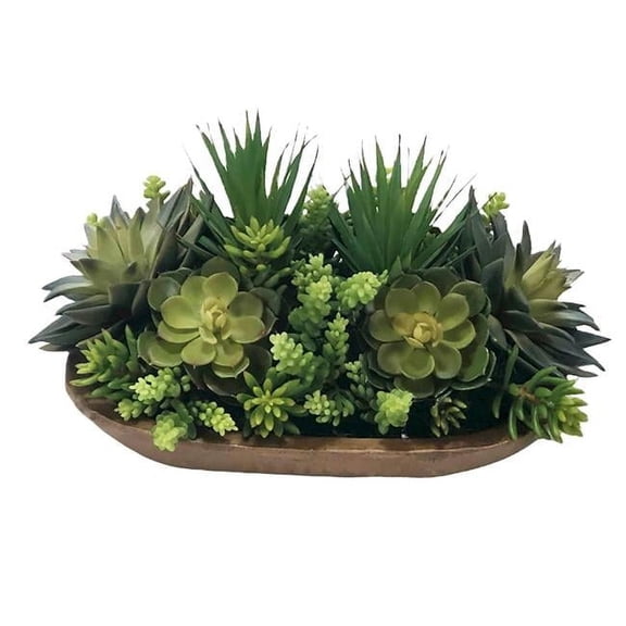 Unisex Mixed Succulents Garden in Wooden Tray - Green