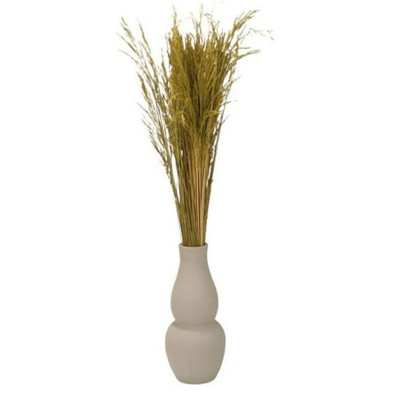 Unisex Natural Rye Grass in Tall Tan Container - Green