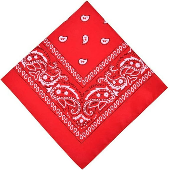 Unisex Paisley Pattern 100% Cotton Bandana Head or Neck Scarf: 1CT