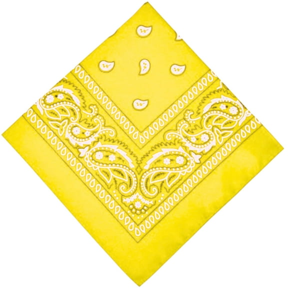 Unisex Paisley Pattern 100% Cotton Bandana Head or Neck Scarf: 1CT