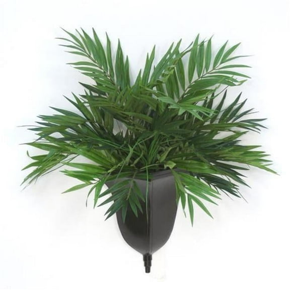 Unisex Parlor Palm in Wall Sconce - Green