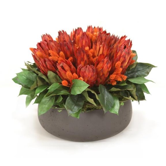 Unisex Red Repens Mixed with Phalaris & Foliage in Low Round Black Wash Planter - Red