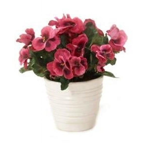 Unisex Rose Pansies in White Vase - Green