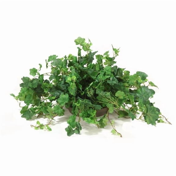Unisex Swish Ivy - Green - Pack of 2