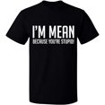 thumbnail image 1 of Unisex T-Shirt, I Am Mean Because You Are Stupid, Slim Fit, Short Sleeve Sweater - Black Small, 1 of 2