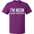 thumbnail image 1 of Unisex T-Shirt, I Am Mean Because You Are Stupid, Slim Fit, Short Sleeve Sweater - Purple Large, 1 of 2