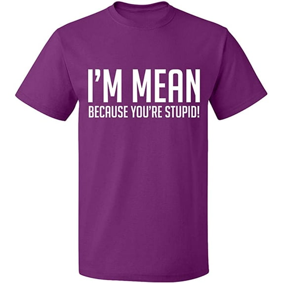 Unisex T-Shirt, I Am Mean Because You Are Stupid, Slim Fit, Short Sleeve Sweater - Purple Large