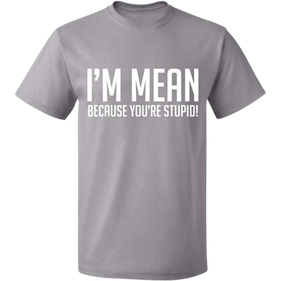 Unisex T-Shirt, I Am Mean Because You Are Stupid, Slim Fit, Short Sleeve Sweater - Sport Grey X-Large