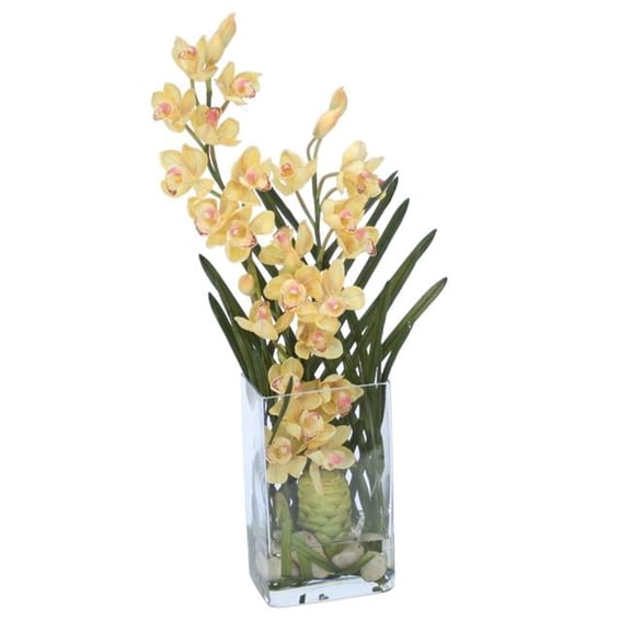 Unisex Yellow Cymbidium Orchid with Honeycomb in Rectangle Tall Glass - Green