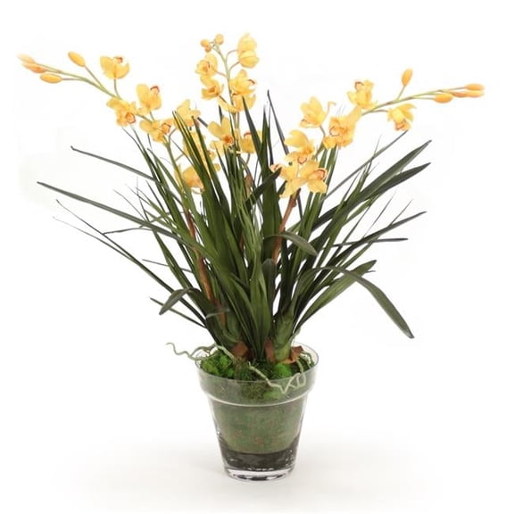 Unisex Yellow Orchid in Glass with Moss