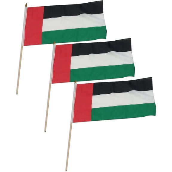 United Arab Emirates Flag 12 x 18 inch - 3 PK