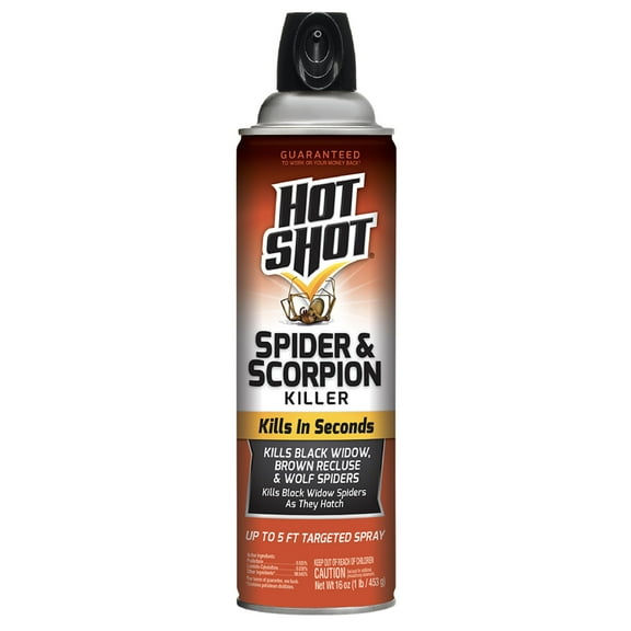 Hot Shot Spider & Scorpion Killer Aerosol Spray, 16 Ounces