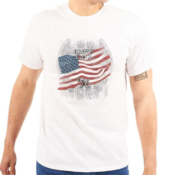 United States Flag Patriotic American Plus Size Crewneck Graphic Tee Shirt Brisco Brands 3X