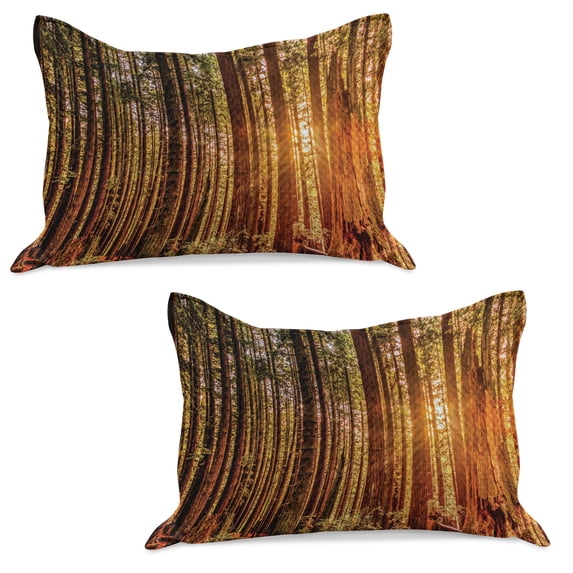 United States Knitted Quilt Pillowcover Set of 2, Tall Trees Red Woodsest Humboldt California Sequoia Picture, Standard Queen Pillow Sham Bedroom, 30" x 20", Orange Dark Brown Green, by Ambesonne