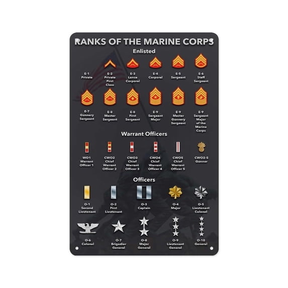 70 Rank United States Marine Corps Rank Badge Chart Posters- Suitable For ...