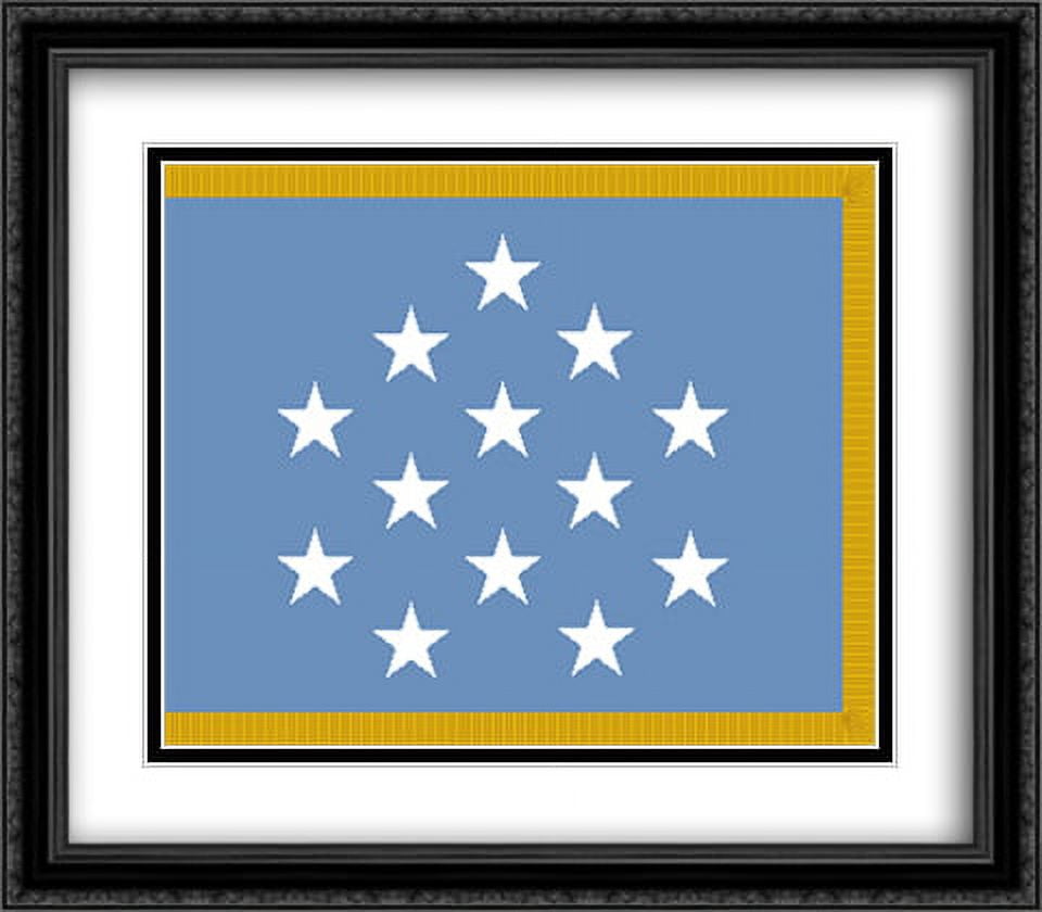 United States Medal of Honor 2x Matted 32x28 Large Black Ornate Framed Art Print by The Flag Art Print Series