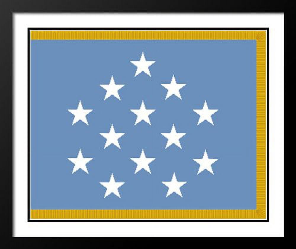 United States Medal of Honor Flag Wood 20x23 Framed and Double Matted Photo