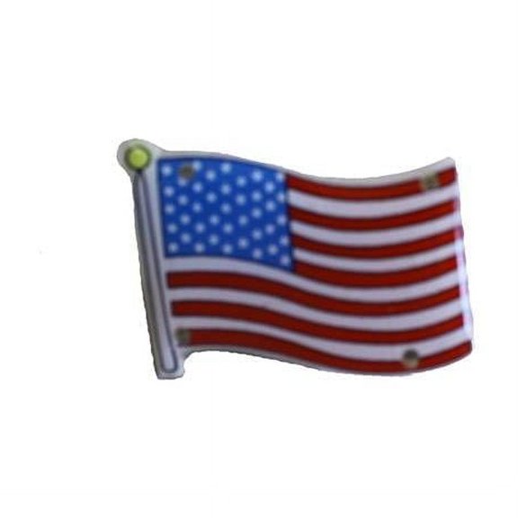 United States of America Pin
