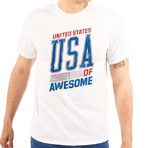 United States of Awesome Patriotic Plus Size Crewneck Graphic Tee Shirt Brisco Brands 2X