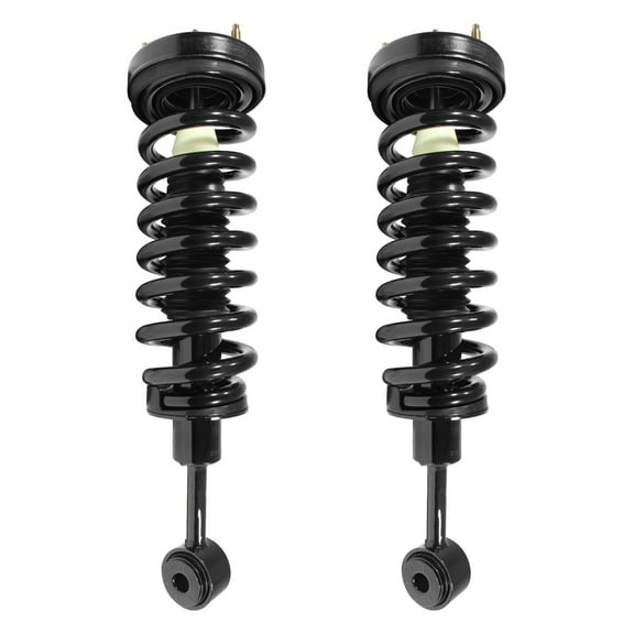 Unity Automotive Front Complete Strut Assembly Kit Fits 2004-2008 Ford F-150, 2-11204-001