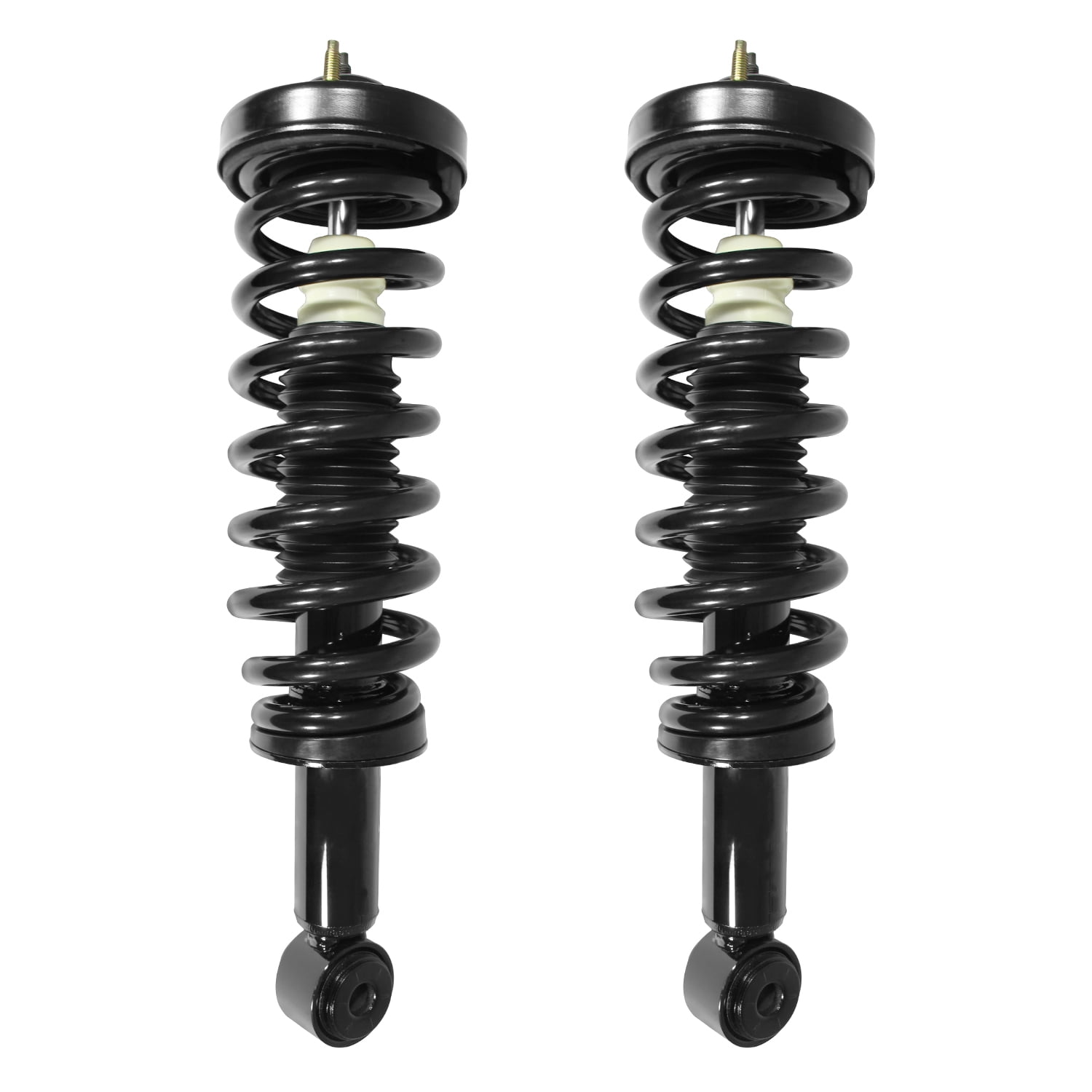 Unity Automotive Front Complete Strut Assembly Kit Fits 2004-2008 Ford F-150, 2-11206-001