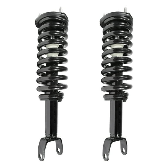 Unity Automotive Front Complete Strut Assembly Kit Fits 2005-2009 Dodge Dakota, 2-11094-001