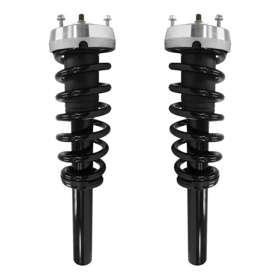 Unity Automotive Front Complete Strut Assembly Kit Fits 2008-2014 BMW X6, 2-11425-11426-001