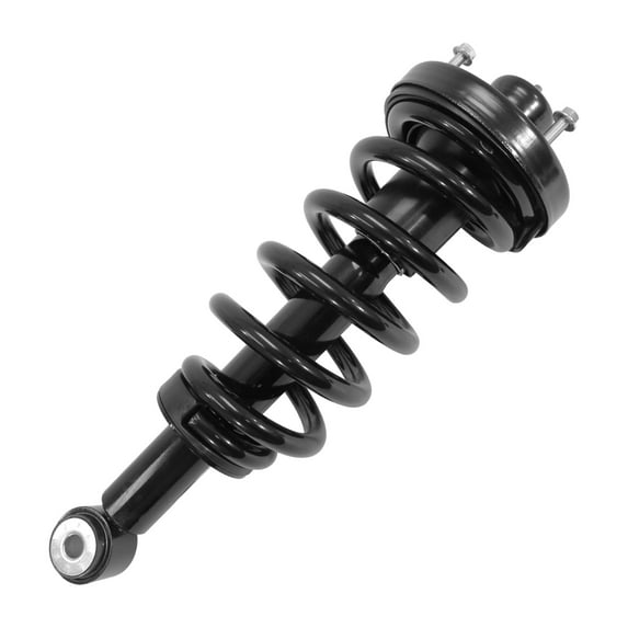 Unity Automotive Rear Complete Strut Assembly Fits 2007-2017 Ford Expedition, 16030