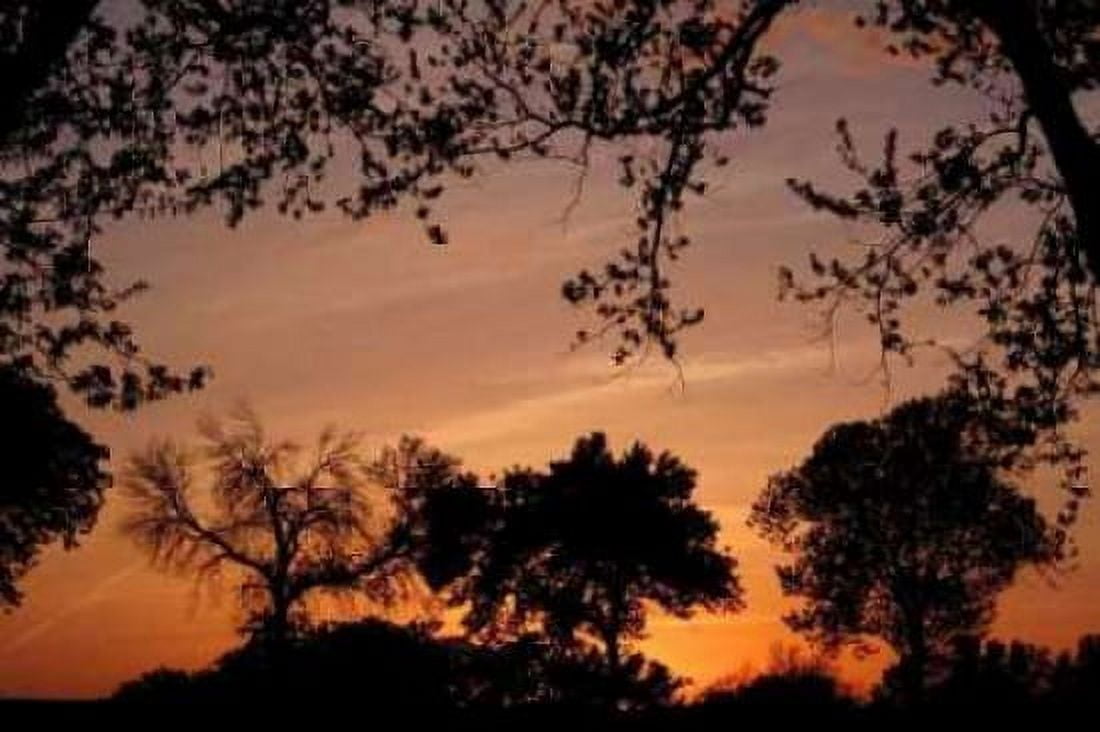 Unity Sunset Canvas Art - Tammy Putman (12 x 18)