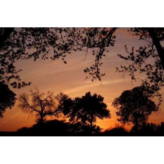 Unity Sunset Canvas Art - Tammy Putman (24 x 36)