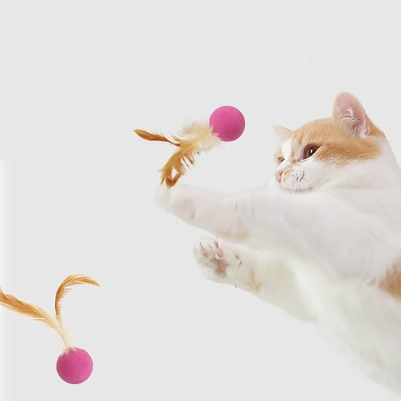 Universal Cat Dog Toy Elastic Sports Ball with Chicken Feathers - Rubber Bouncing Interactive Play for Small Large Pets, Stimulates Instincts, Safe Durable Fun for Indoor Outdoor Games