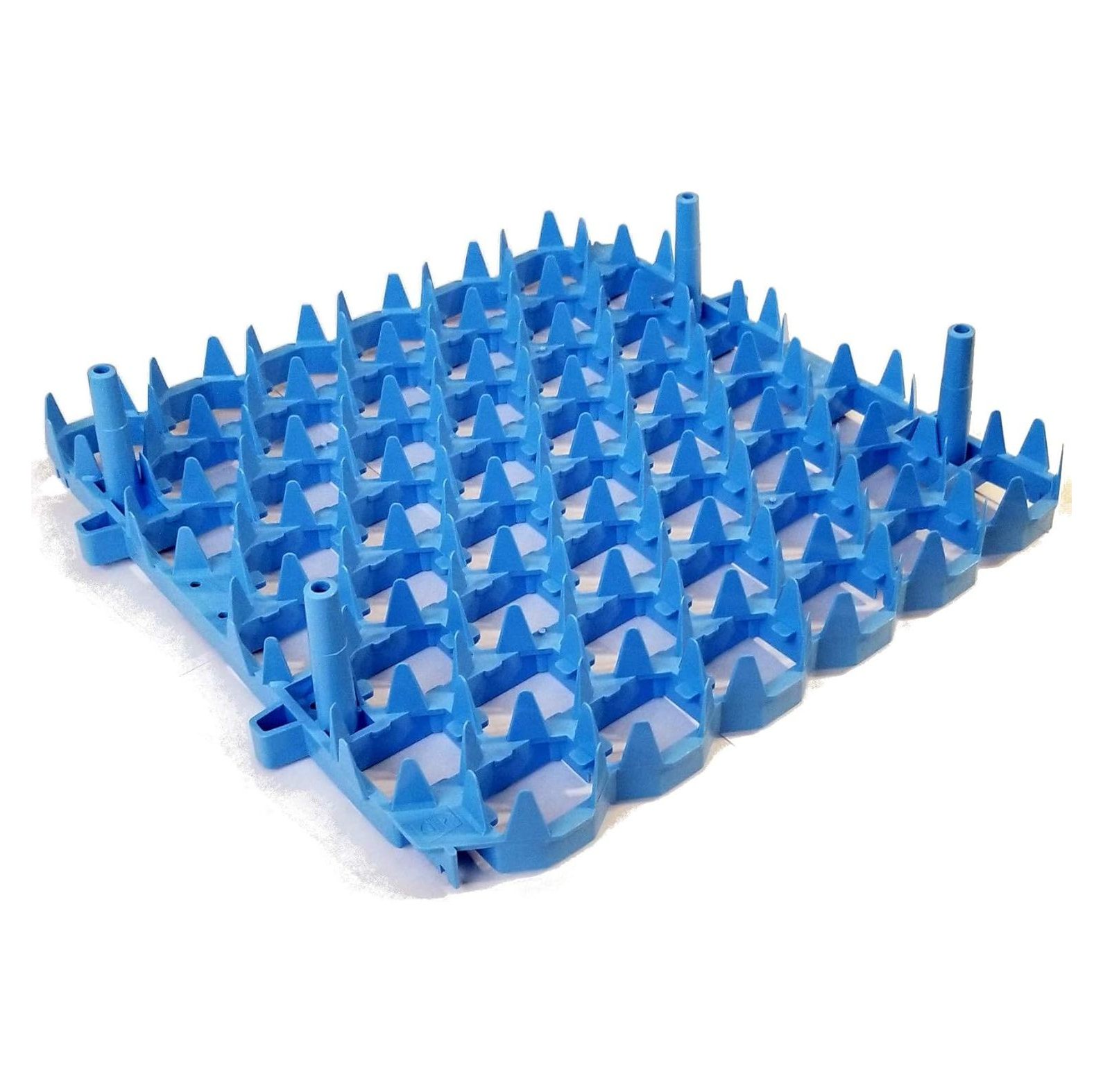 Universal Chicken Egg Trays (6 pack)