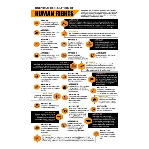 Universal Declaration Of Human Rights Educational Poster Historical Document Art Print For Classroom Office Library Study Living Room Inspirational Wall Decor