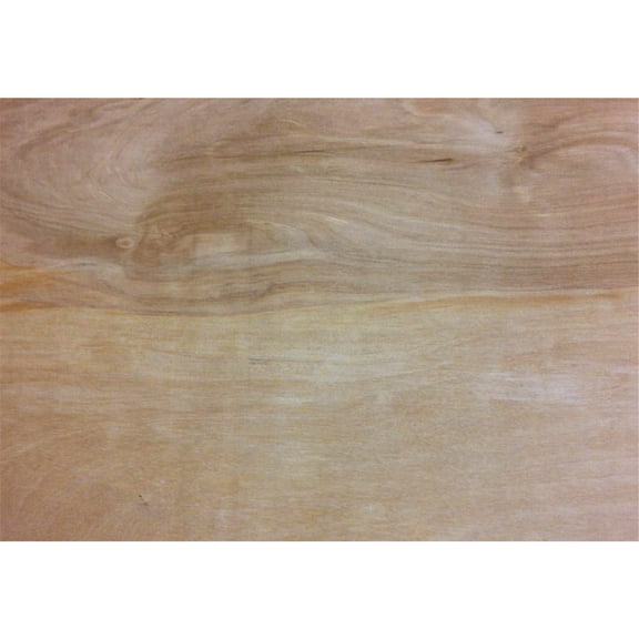 Universal Forest Products Birch Plywood Panel - Rectangular - 1/2" x 24" x 48"