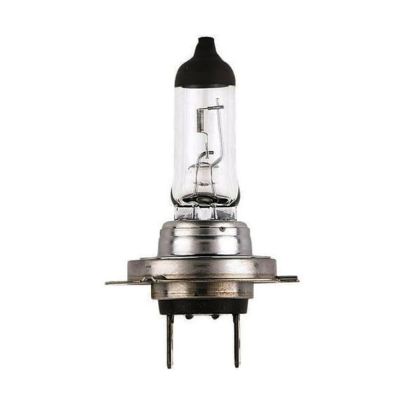 Universal H7 Halogen Car Bulb 24V 55W Bright Headlight