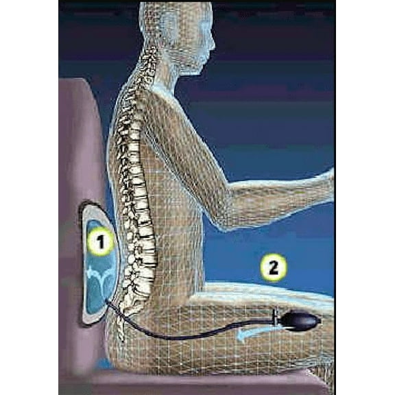 Universal Inflatable In Seat Lumbar Air Bladder