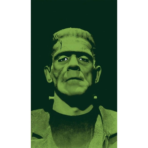 Universal Monsters Frankenstein 3'x5' Backlit WOWindow Poster