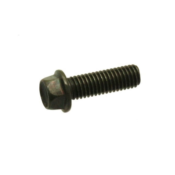 Universal Parts M8-1.25 x 25 Bolt