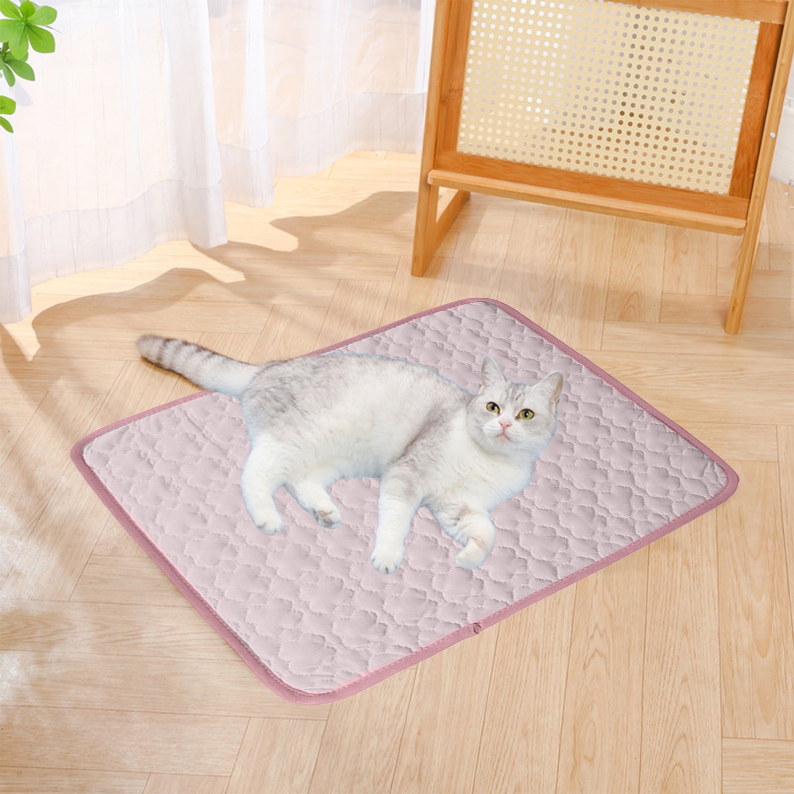 Photo inspiration: Universal Self Cooling Pet Mat For Dogs Cats Photo Inspiration