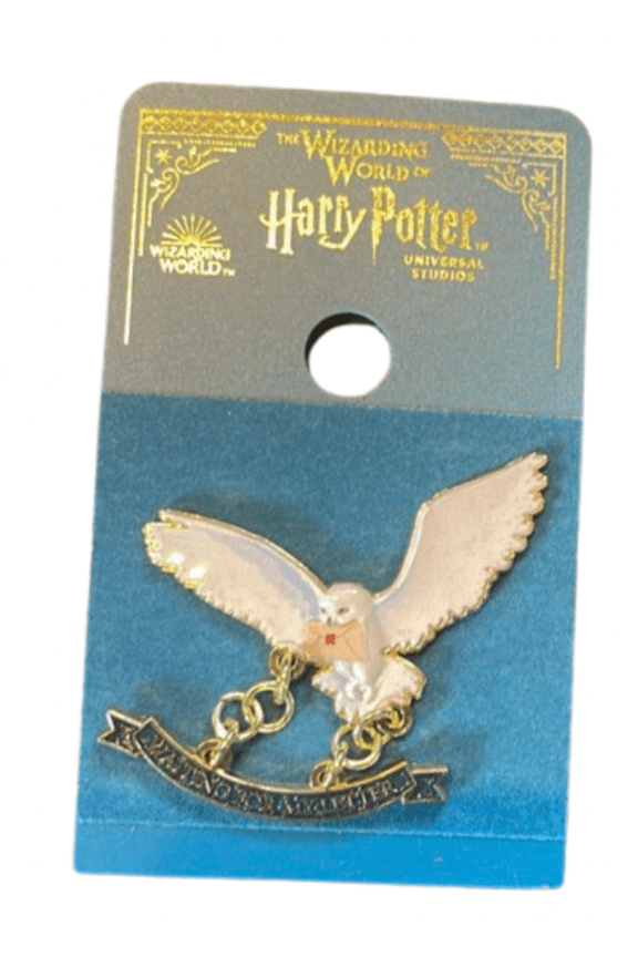 Harry Potter Waiting for My Letter Hedwig Pin New With Tag